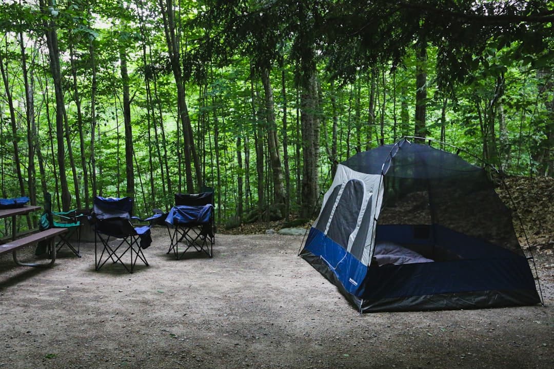 Best Campground Management Software: Top Picks for 2026