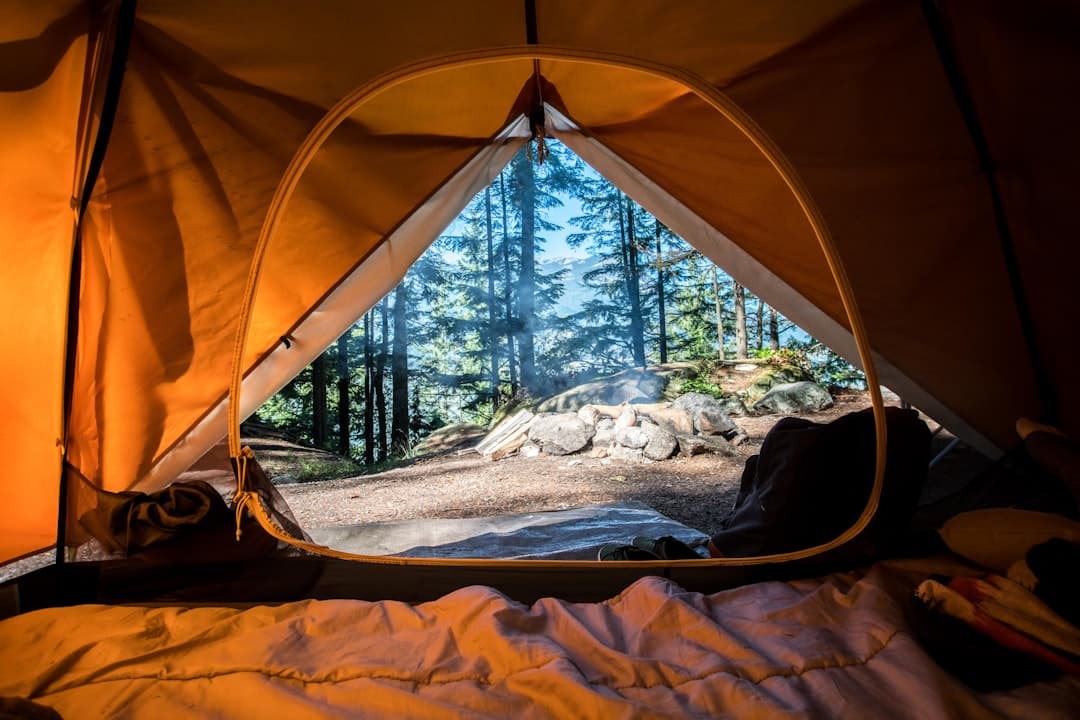 Best Campground Website Design: Build a Professional Site for Your Campground in 2026
