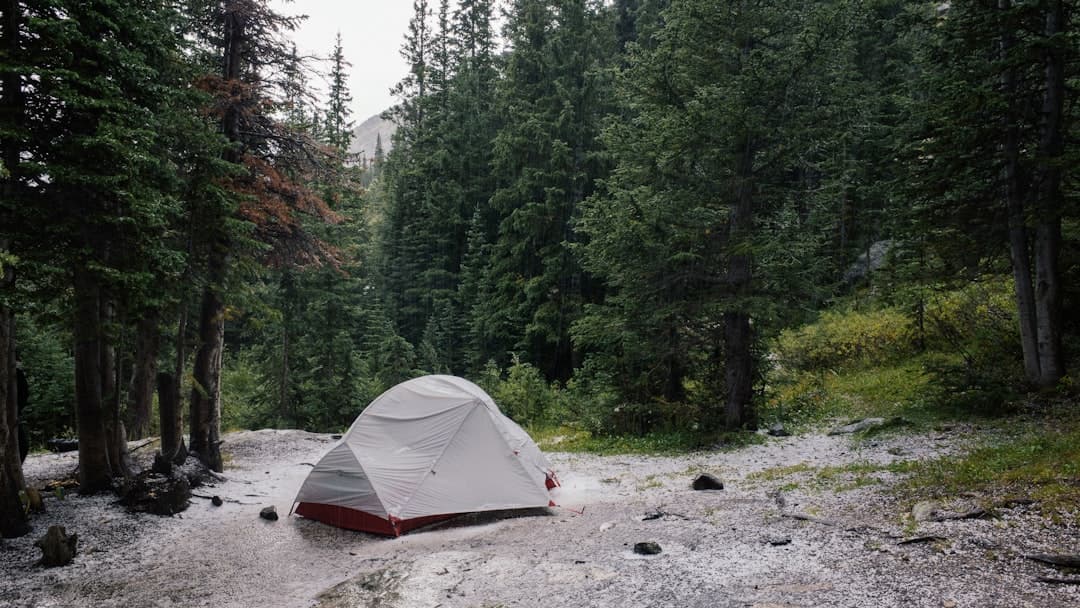 Camping in the Rain: How to Stay Dry and Have Fun