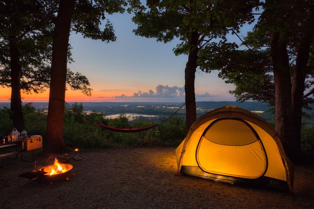 Best Camping Cooler in 2026: Top Picks for Every Camper