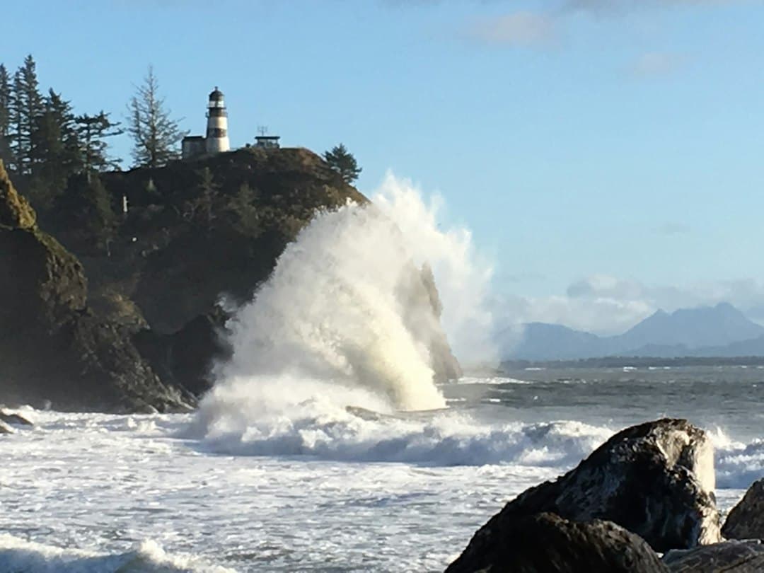Cape Disappointment State Park Camping: Campground Loops, Yurts and 2026 Reopening Guide