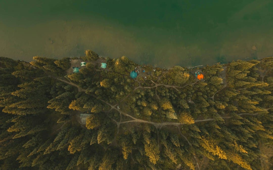 Dale Hollow Lake State Park Camping: The Complete 2026 Guide