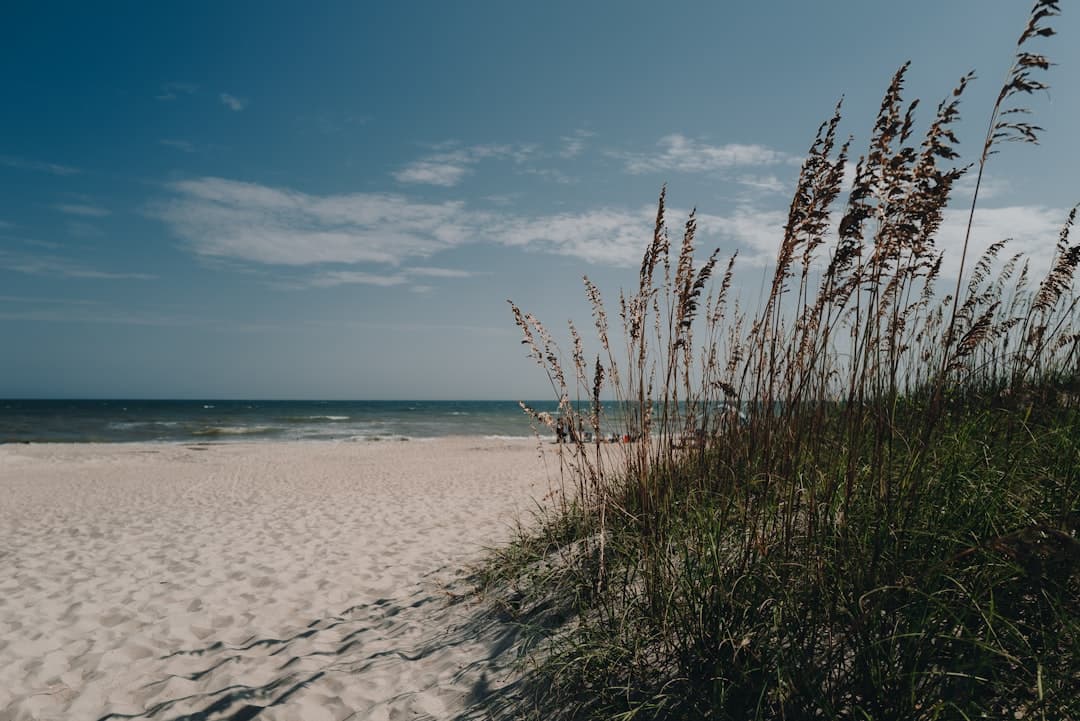 Hammocks Beach State Park Camping: The Complete 2026 Guide