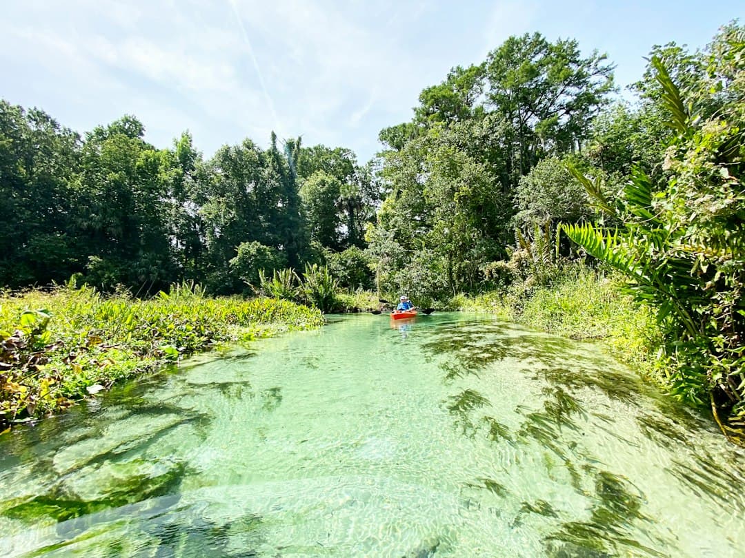 Hillsborough River State Park Camping: The Complete 2026 Florida Guide