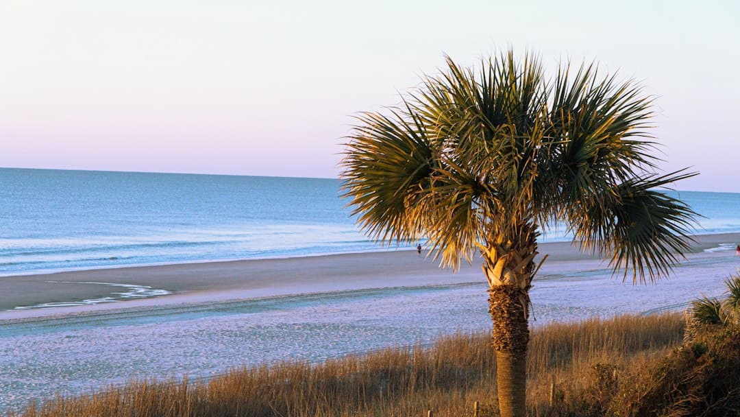 Hunting Island State Park Camping in South Carolina: The Complete 2026 Guide