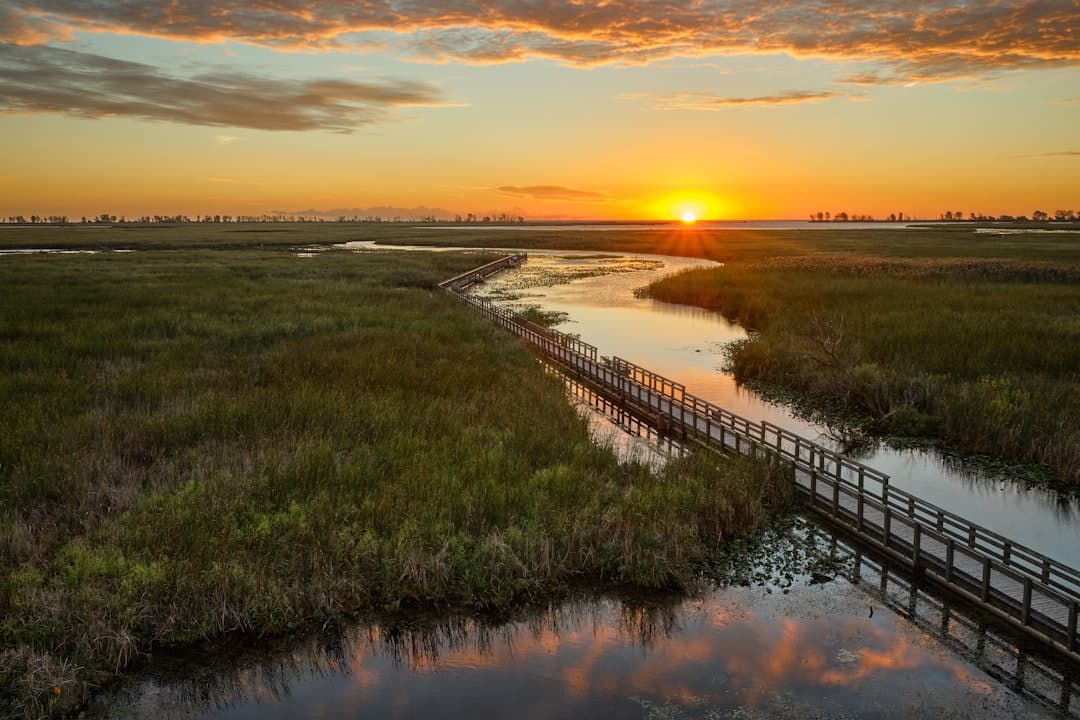 Huntington Beach State Park Camping: The Complete 2026 Guide