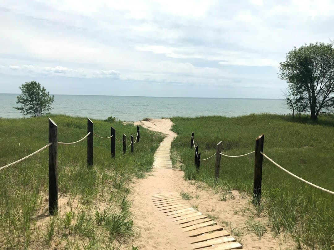 Kohler-Andrae State Park Camping: The Complete 2026 Wisconsin Guide