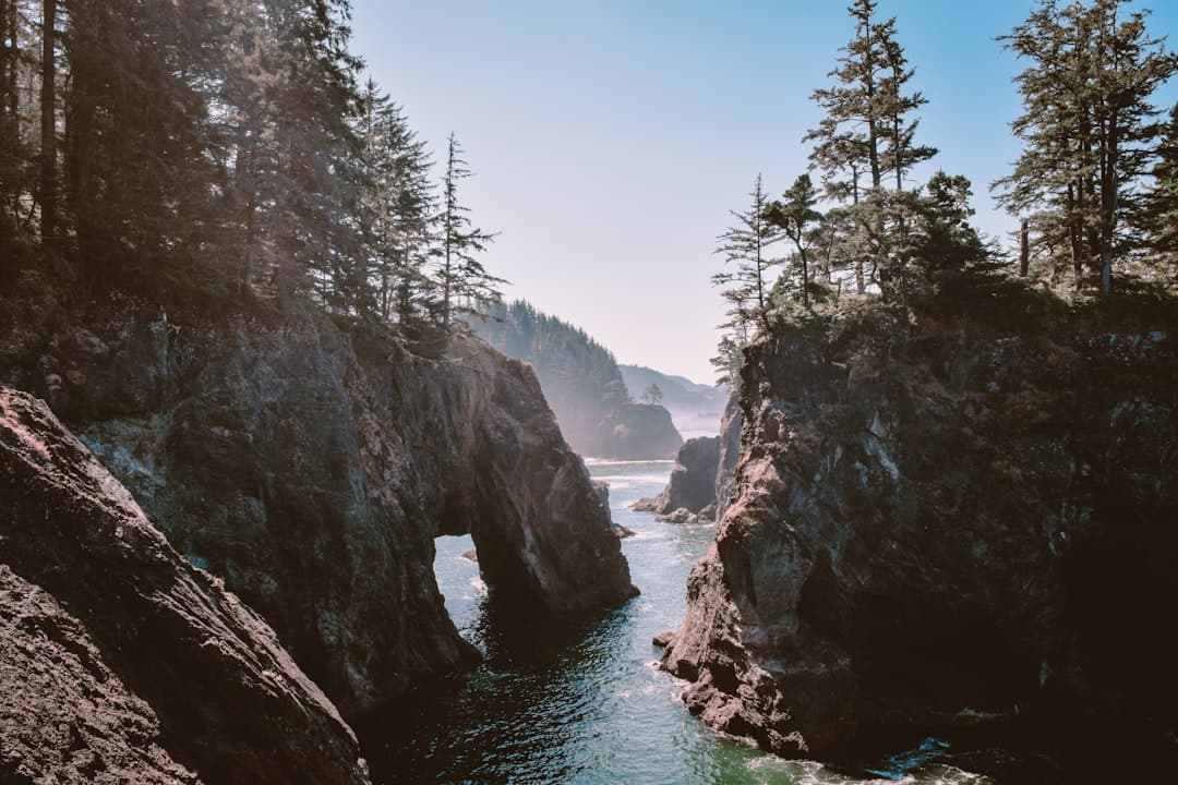 Camping on the Oregon Coast: The Complete 2026 Guide