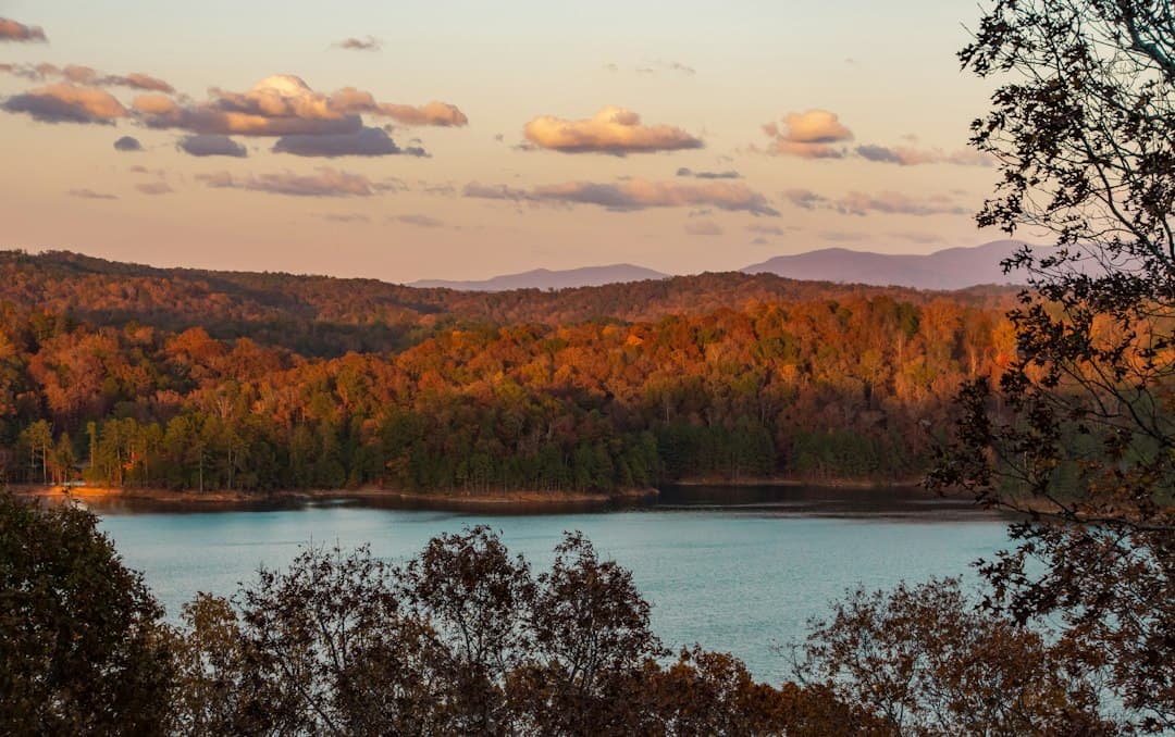 Red Top Mountain State Park Camping: The Complete 2026 Georgia Guide