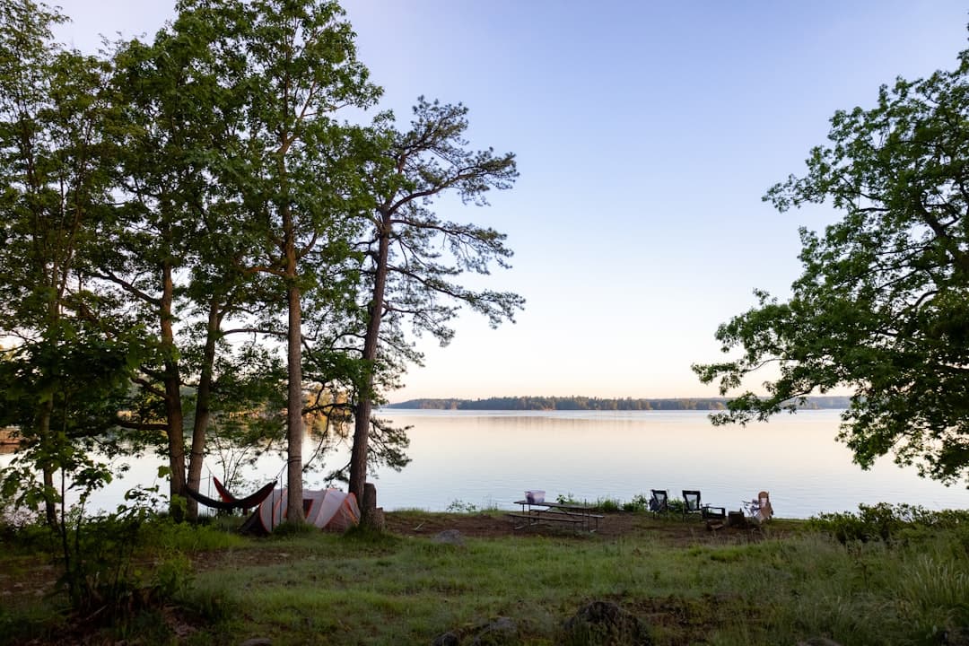 Smith Mountain Lake State Park Camping: The Complete 2026 Guide