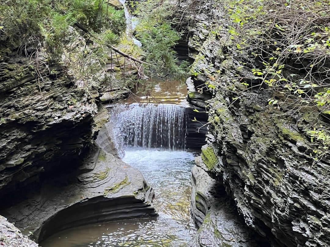 Watkins Glen State Park Camping: The Complete 2026 Guide